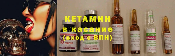 трава Белокуриха