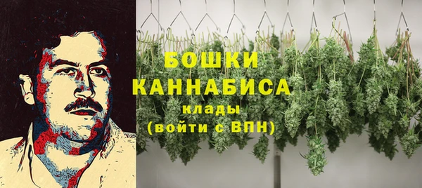 трава Белокуриха