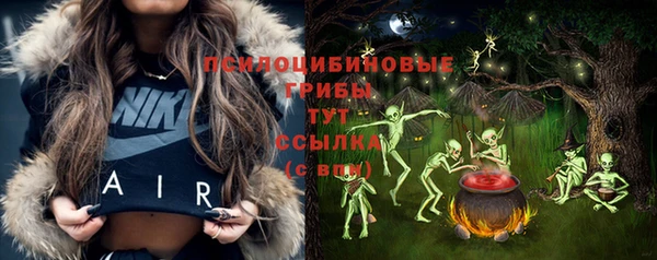 трава Белокуриха
