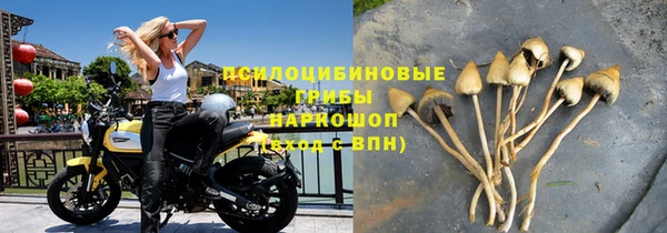 трава Белокуриха