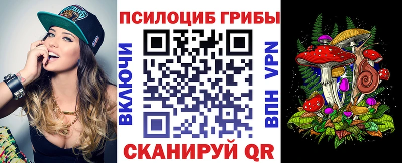 Псилоцибиновые грибы Psilocybine cubensis  Комсомольск-на-Амуре 